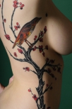 tatu-na-boku