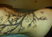 tatu-sakura