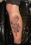 drakon