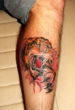 tigr