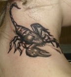 skorpion-na-shee