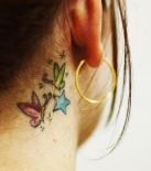 tatu-babochek