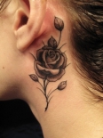 tatu-roza