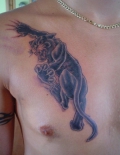 cattattoo117