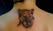 img232760_tattoo_puma22e