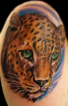 leopard