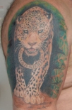 leopard2