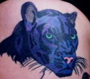 panther