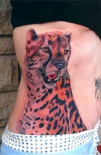 tatu-gepard-na-boku