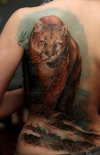 tatu-puma-na-pleche