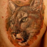 tatu-pumyi