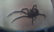 animal-tattoo-121529079921470