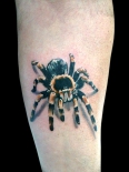 tarantula_by_maximolutztattoo
