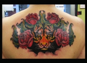 back-tattoo_m_tiger_rose