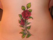 best-rose-tattoo