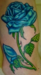 bluerose8