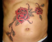 img201318_old_school_red_rose