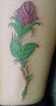 redrose