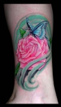 rose-butterfly