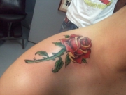 rose-tattoo-designs-for-women