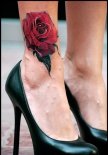 rose-tattoo_0