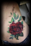 rose