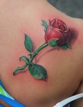 rose_tattoo