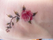 rose_tattoo600_45011