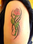 rosetat140