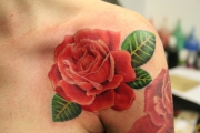 rosetattttttt