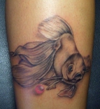 tatu-na-noge