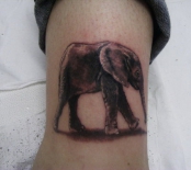 slon-tatu