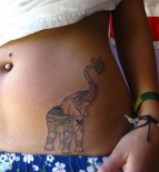 tatu-slon-na-zhivote