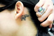 tatu-slon-za-uhom