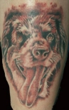 tatu-pes_0