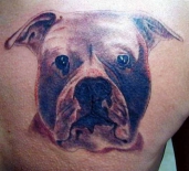 tatu