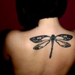black-dragonfly-tattoo-s