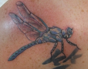 dragfly