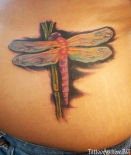 dragon_fly