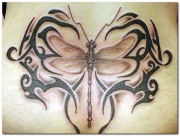 dragonfly-tattoo-designs-pictures-13