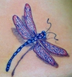 dragonfly1_sg_114883807