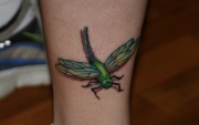 dragonflycloseupgeneraldetailedanimal-tattoo-bits-sflashdesigns-tattoo-bits-picturesgallery-tattoo-bits-art7-gif