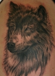 img118221_wolf_tattoo