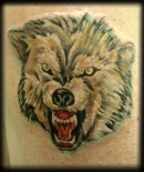 wolf