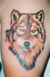 wolf35