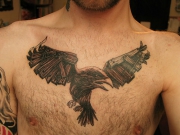 tatu