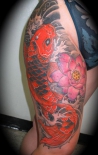 koi-na-bedre