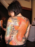 koi-spina