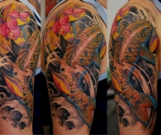 koi-yaponskiy-karp