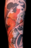 koi